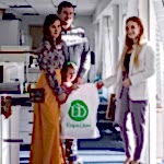 Состав и этапы проекта